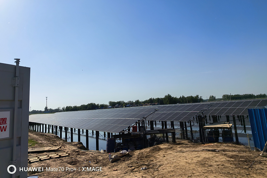 16595613557079.jpg 560b234d-4524-4bed-bebb-cdc9c0097849.jpg